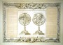 Небесные глобусы. 1770г. Музейный экземпляр. Старинная гравюра - ВИП подарок
