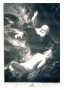 Эрмитажная коллекция. Жертвоприношение Авраама. 1767г. Рембрандт. Эксклюзивный подарок