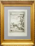 Животные Сибири. Старинная гравюра. 1768г. Беллин. Антикварный подарок охотнику