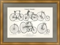 Велосипеды. 1886г. Антикварная гравюра