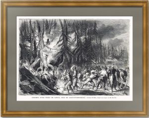 Пожар в еловом лесу под Санкт-Петербургом. 1868г. Старинная гравюра