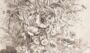 Мак, вьюнок и трава. 1857г. Блери. Старинная литография. 52x33. Редкость.