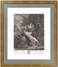 Охотничьи трофеи. Валкенбург/Центнер 1788г. (1792) Эрмитажная коллекция. Старинная гравюра