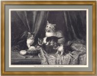 Кошки на туалетном столике. 1880г. Ламбер/Бод. Старинная оригинальная гравюра.
