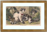 Кошки, обучение охоте. 1880г. Шпехт/Шпехт. Старинная гравюра, акварель