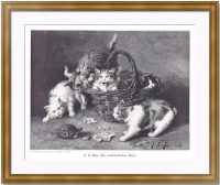 Котята. Зловещий гость. 1890г. Леруа. Старинная гравюра