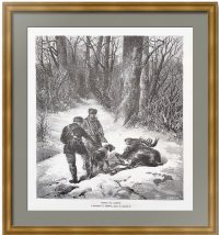 Охота на оленей. 1878 Френц/Брауне. Старинная гравюра Охота на оленей. 1878 Френц/Брауне. Старинная гравюра