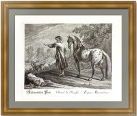 Московская или русская лошадь. 1770г. Ридингер/Ридингер. Старинная гравюра Московская или русская лошадь. 1770г. Ридингер/Ридингер. Старинная гравюра