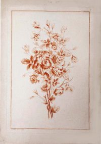 Ботаника. Букет из роз. 1790г. Рубийяк. Старинная гравюра «сангиной» Ботаника. Букет из роз. 1790г. Рубийяк. Старинная гравюра «сангиной»